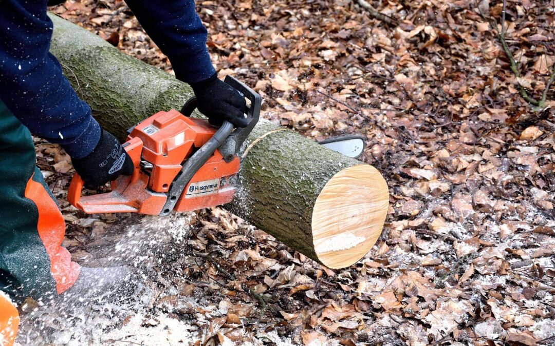 Maximizing Woodworking Efficiency: Power Tool Reviews and Tips