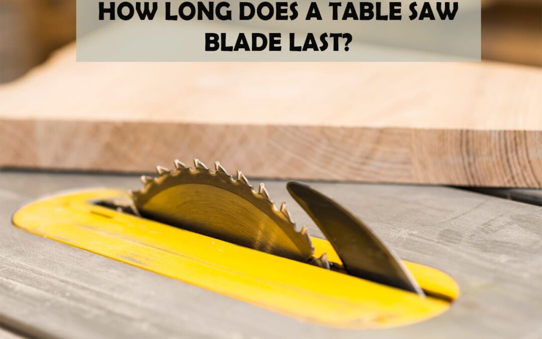 How Long Does A Table Saw Blade Last?