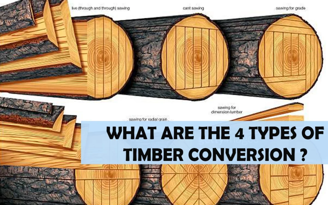 What Are The 4 Types Of Timber Conversion?