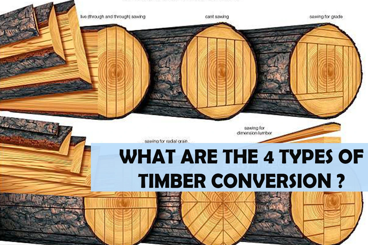 what-are-the-4-types-of-timber-conversion-woodworkingspaces