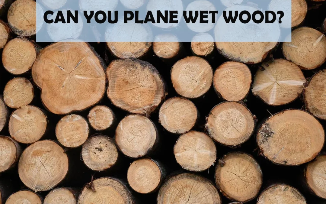 Can You Plane Wet Wood?